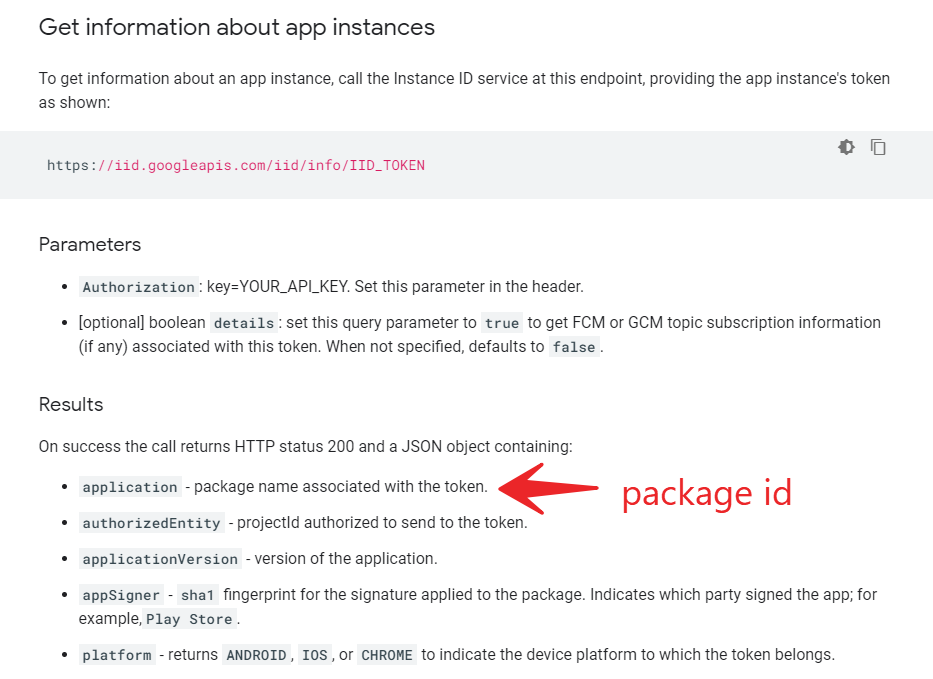 server instance metadata